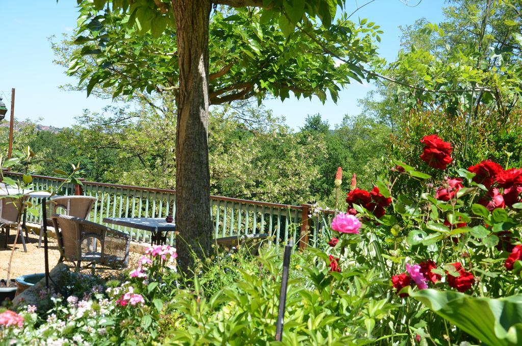 Bed and Breakfast La Gueriniere Cenac-et-Saint-Julien Экстерьер фото
