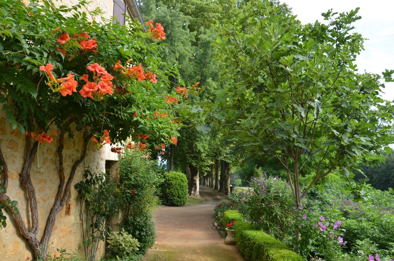 Bed and Breakfast La Gueriniere Cenac-et-Saint-Julien Экстерьер фото